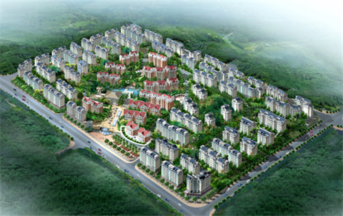 Picture 2(1).png